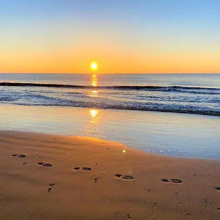 Moana3 Seaview Egmond aan Zee